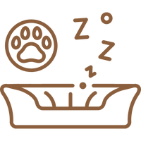 Bequemer Schlafplatz – egal wohin die Reise geht