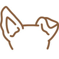 Entwickelt mit Hundeliebe – von TravelTail