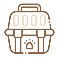 Perfekte Passgröße für Transportboxen & Kofferraum