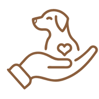 Bietet Sicherheit in neuer Umgebung