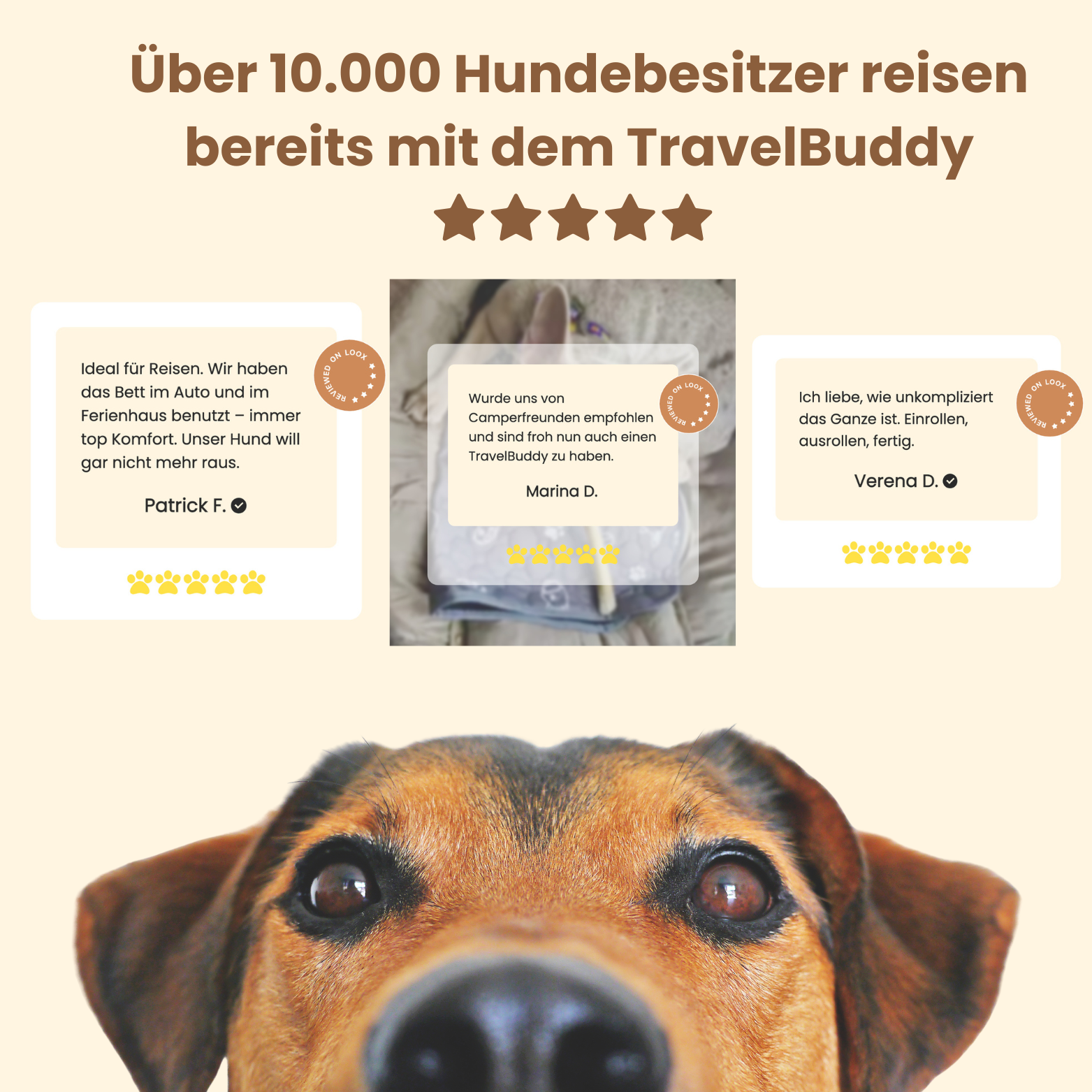 TravelBuddy | Hundebett für unterwegs