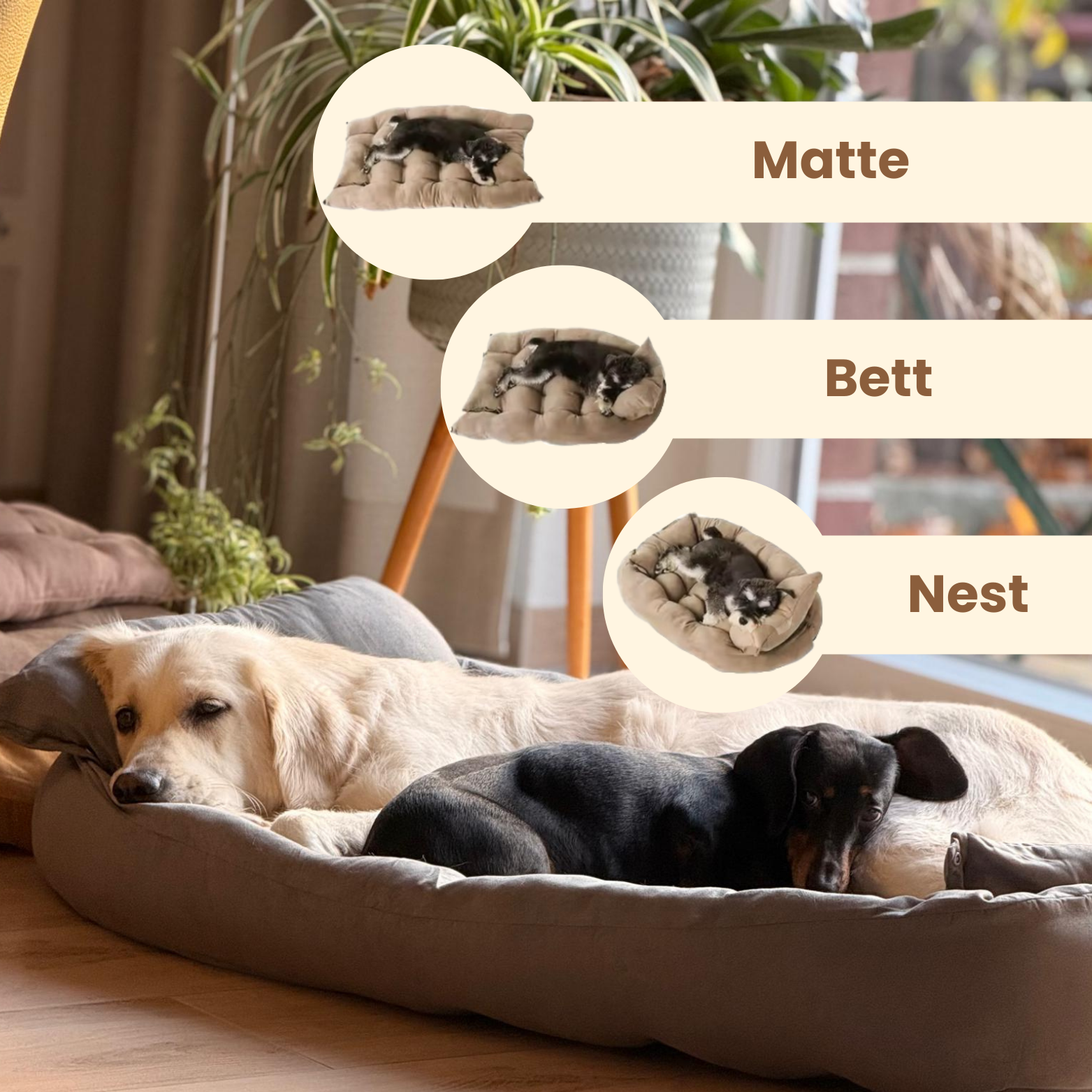 TravelBuddy | Hundebett für unterwegs