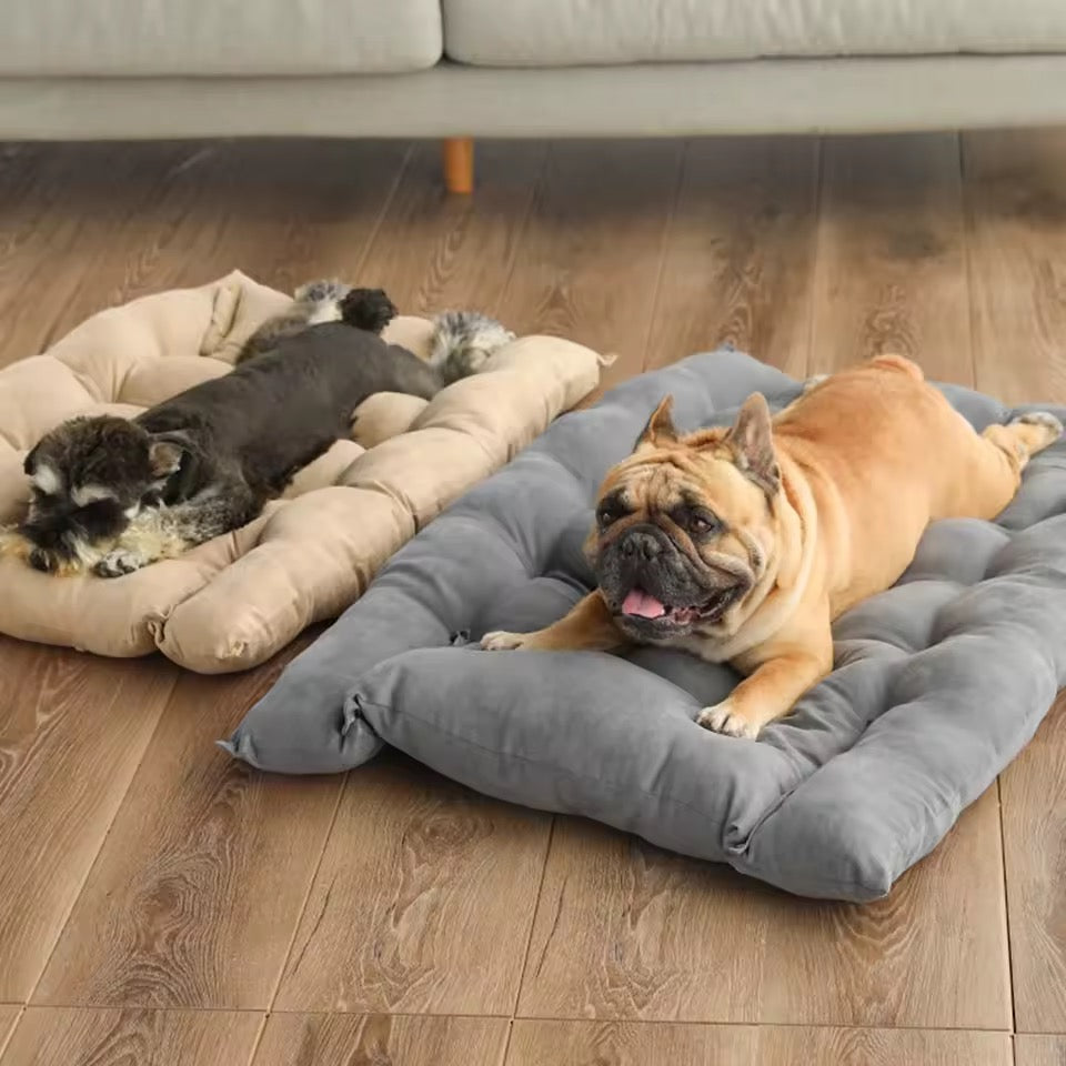 TravelBuddy | Hundebett für unterwegs