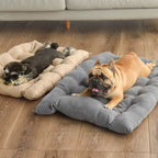 TravelBuddy | Hundebett für unterwegs