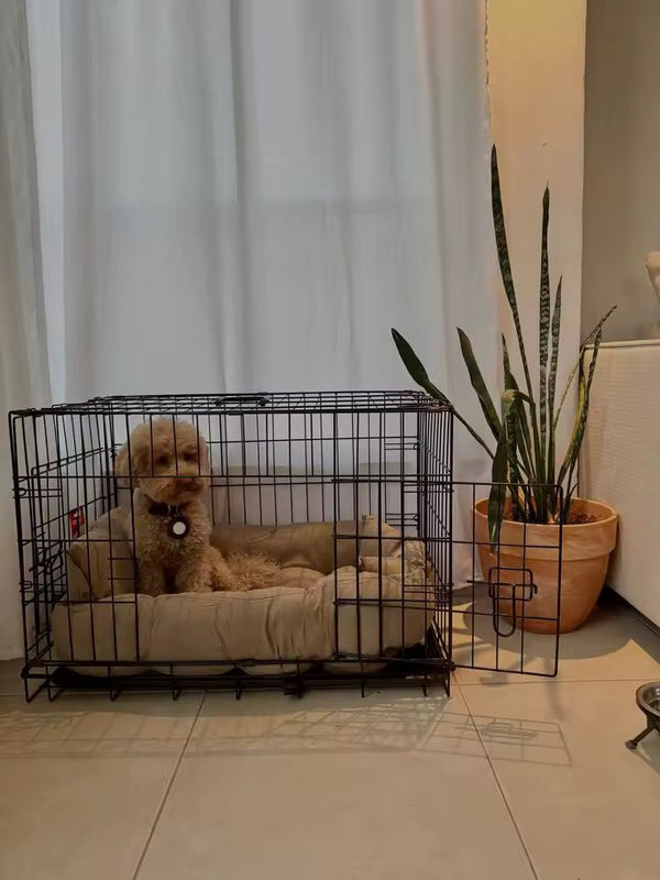 Kundenbewertung TravelBuddy