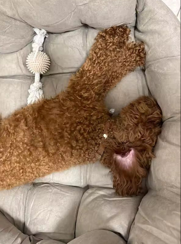 Kundenbewertung TravelBuddy