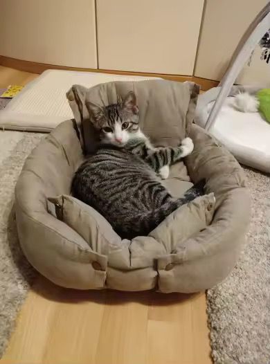 Kundenbewertung TravelBuddy